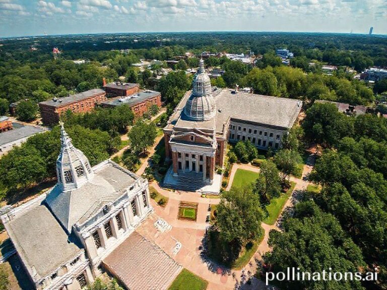 Trending: rice university