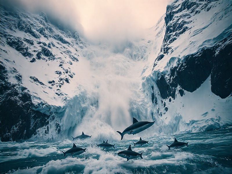 Trending: avalanche vs sharks