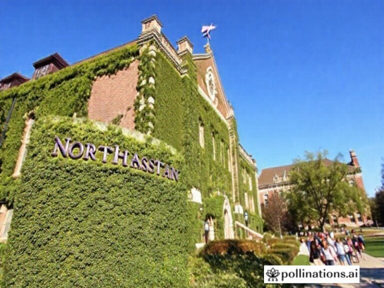 Trending: northwestern university