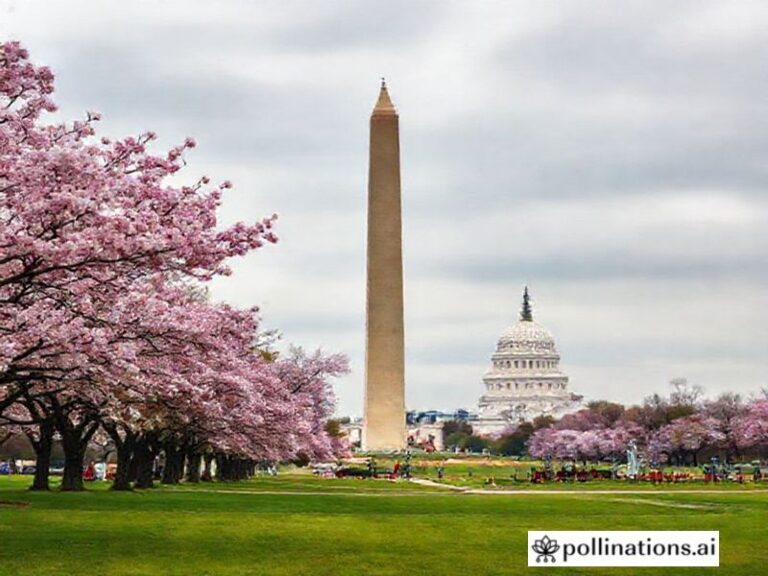 Trending: washington dc