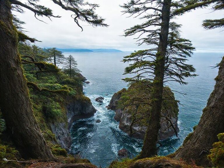Trending: vancouver island
