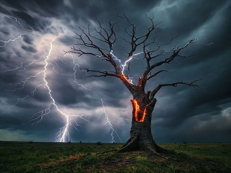 Trending: death by lightning