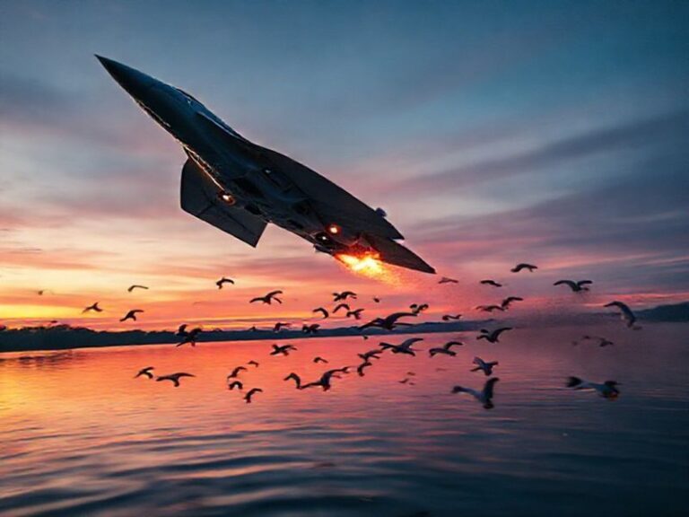 Trending: jets vs ducks