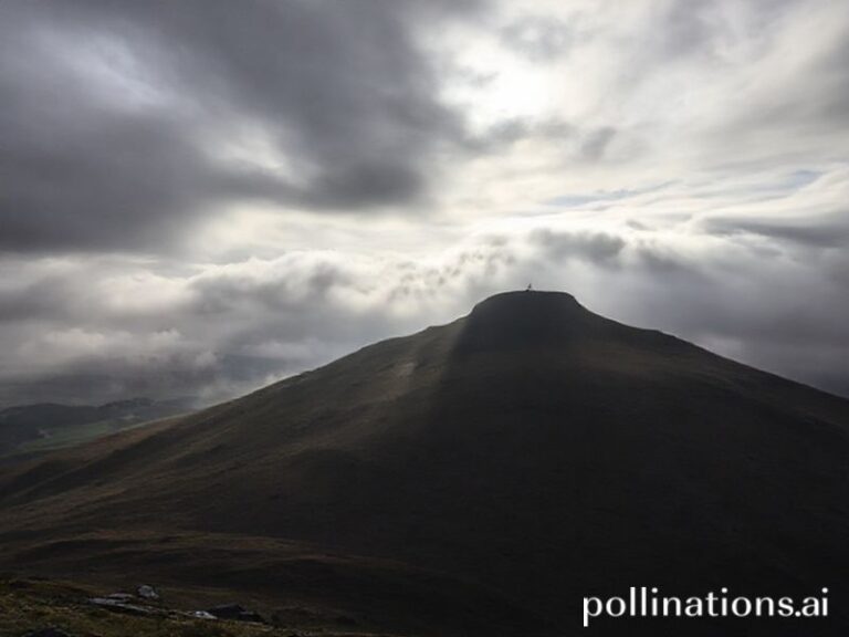 Trending: edinburgh weather