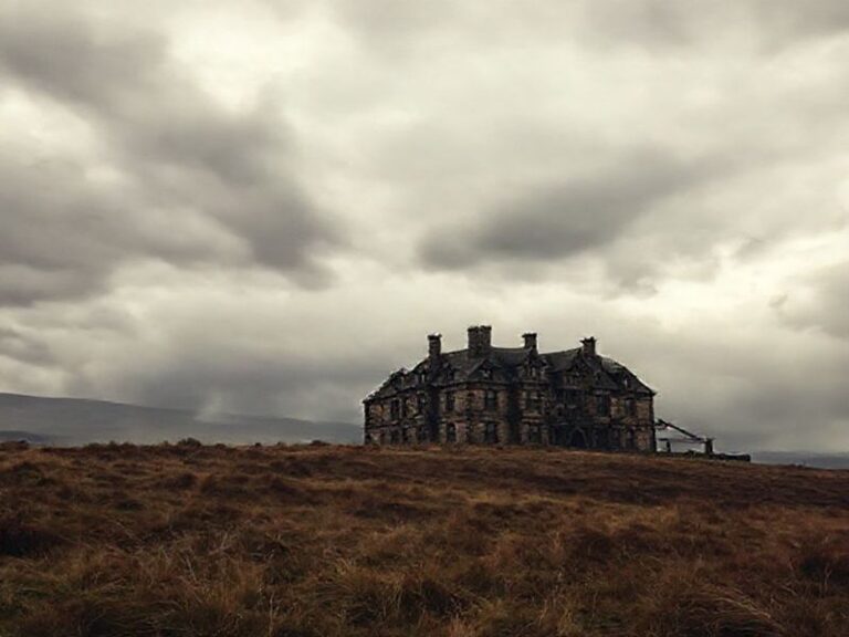 Trending: wuthering heights