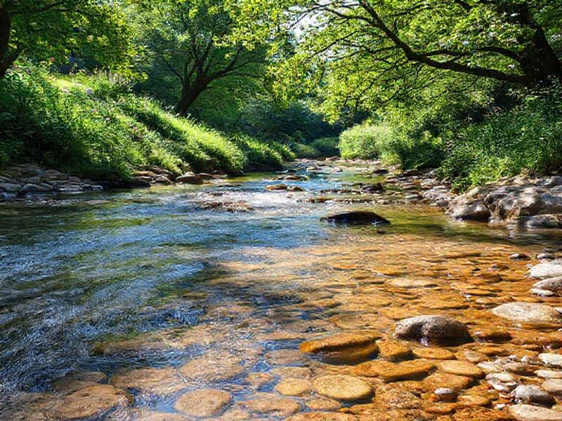 Trending: river monnow