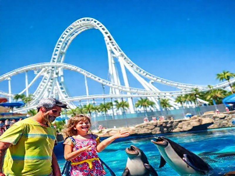 Trending: seaworld orlando