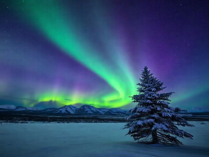 Trending: aurora borealis northern lights
