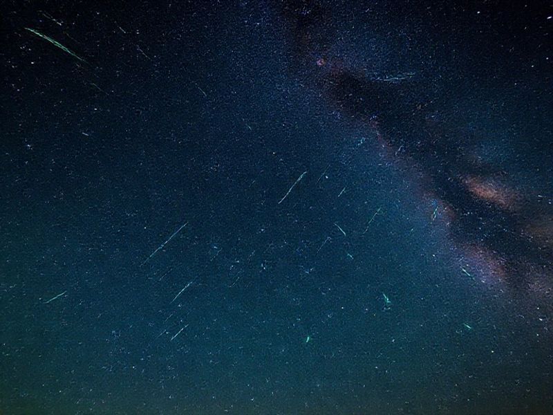 Trending: leonid meteor showers