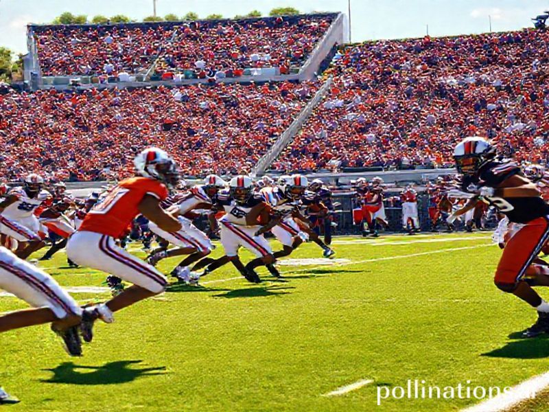 Trending: mercer vs auburn