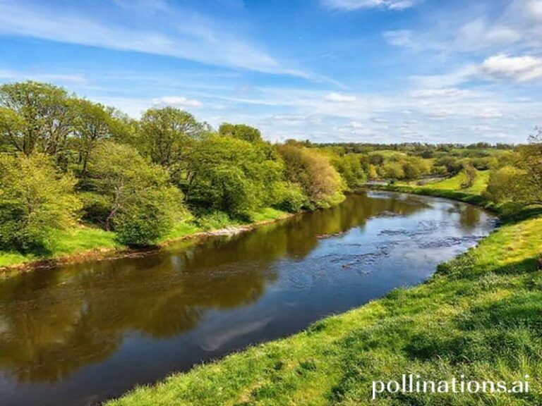 Trending: river trent