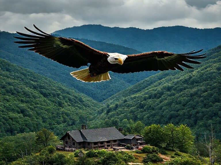 Trending: blankenship eagles