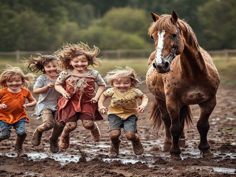 Trending: horsing around strands