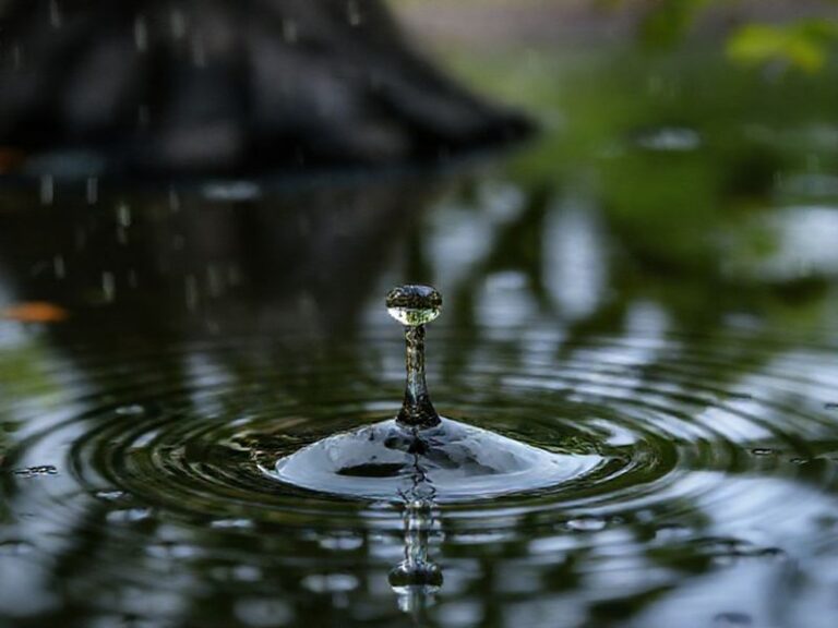 Trending: rain newton smith