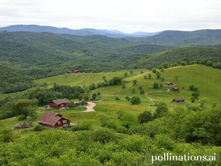 Trending: wise county va