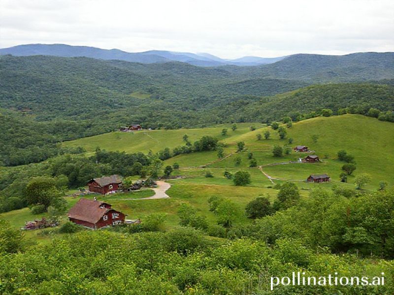 Trending: wise county va