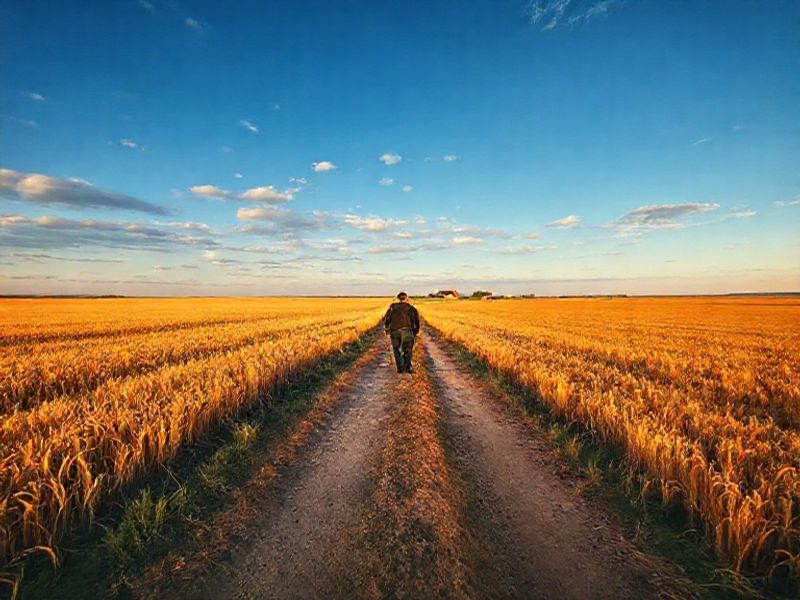 Trending: 2000 meters to andriivka