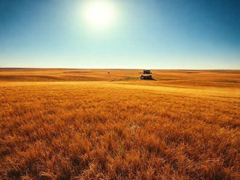 Trending: sun country