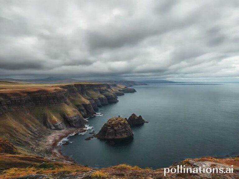 Trending: ceredigion