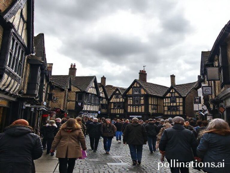 Trending: york weather