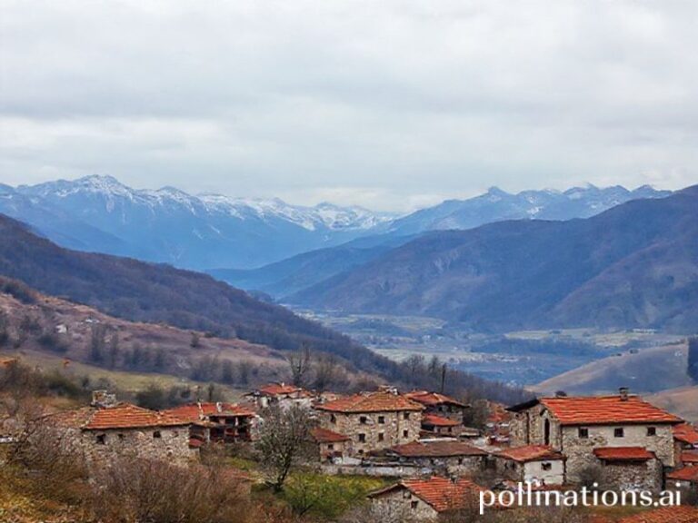 Trending: the balkans