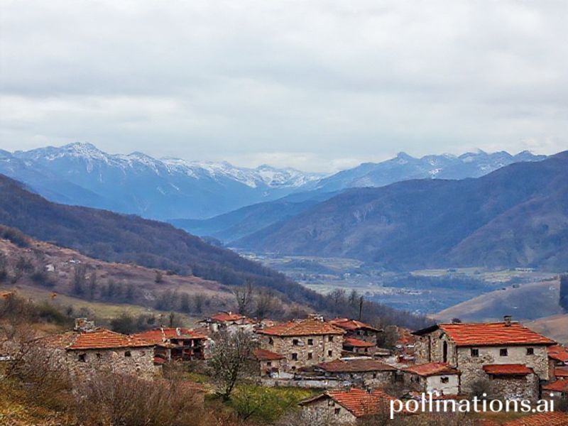 Trending: the balkans