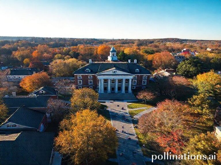 Trending: babson college