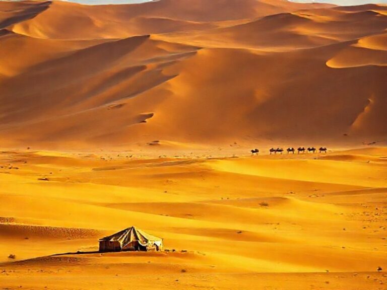 Trending: mauritania