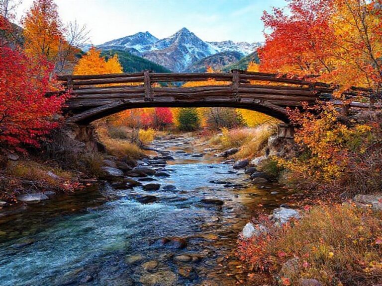 Trending: woody creek colorado