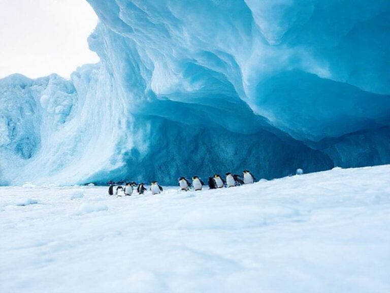 Trending: strand larsen