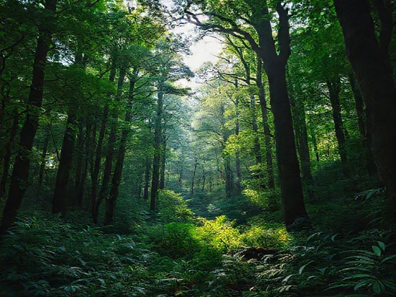 Trending: forest green