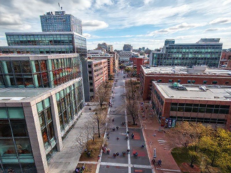 Trending: northeastern university