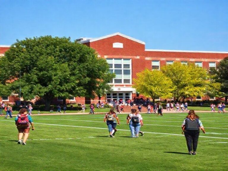 Trending: stewartville high school