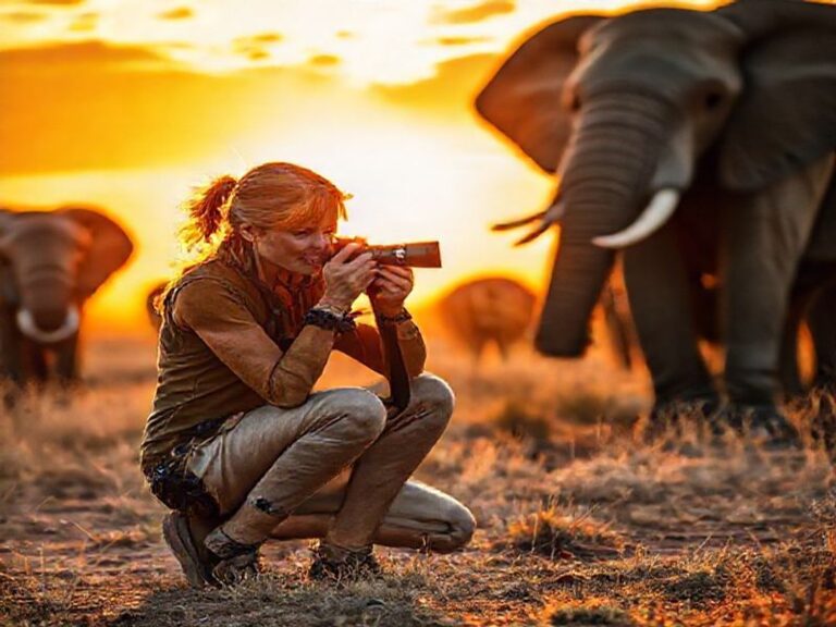 Trending: dani busboom kelly