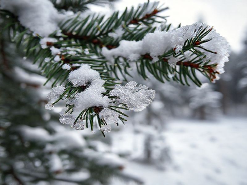 Trending: snow accumulation