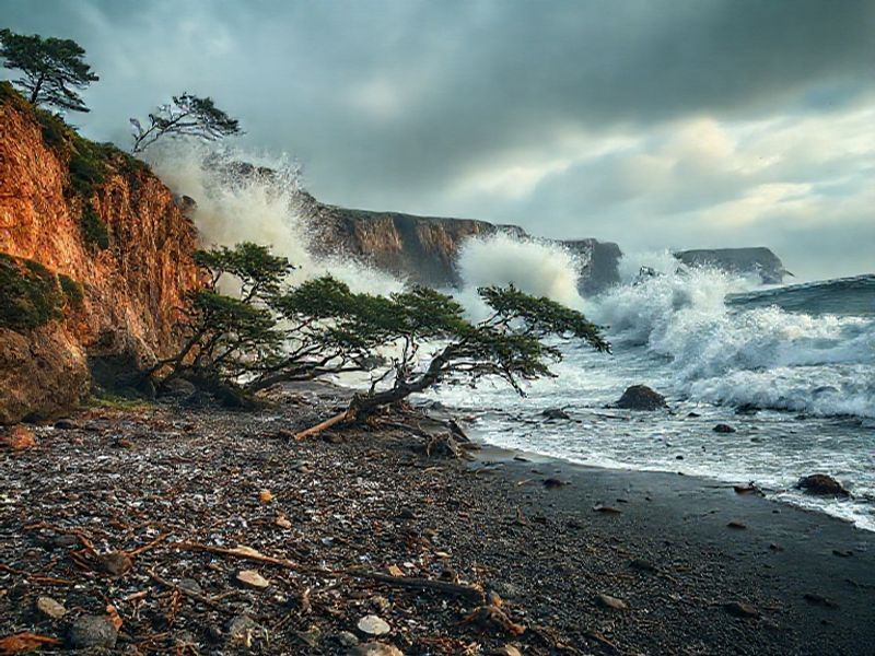 Trending: the war between the land and the sea