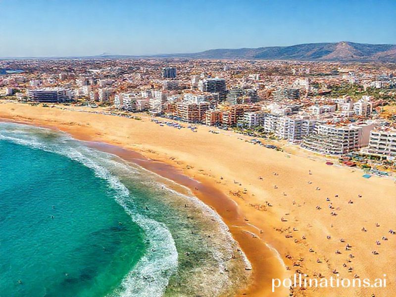 Trending: orihuela costa