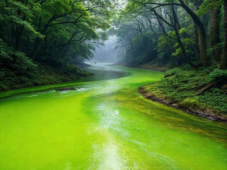 Trending: green river