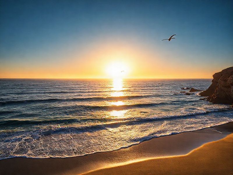 Trending: pacific ocean