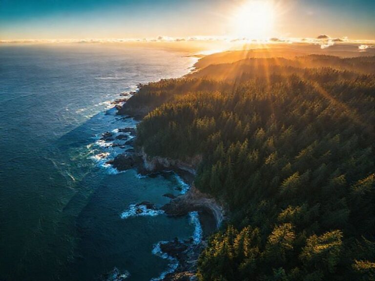 Trending: pacific washington