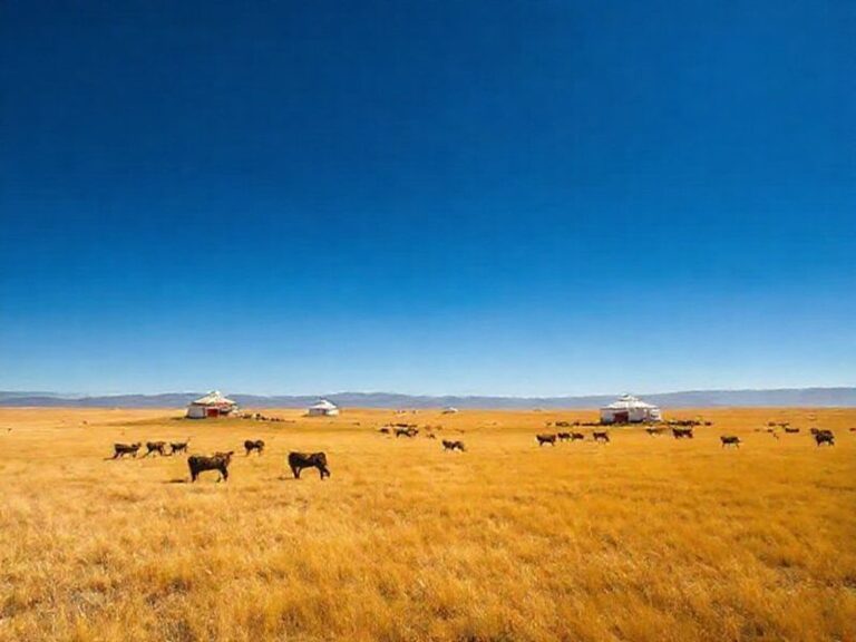Trending: mongolia