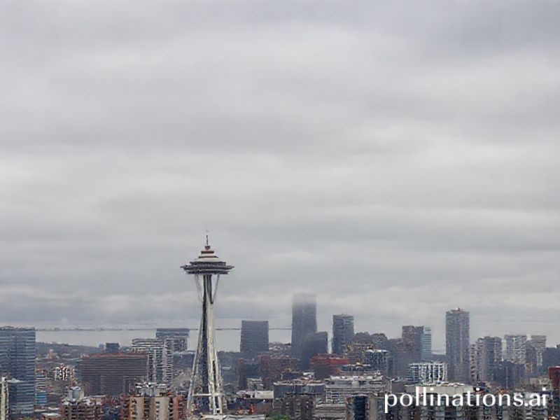Trending: weather in seattle