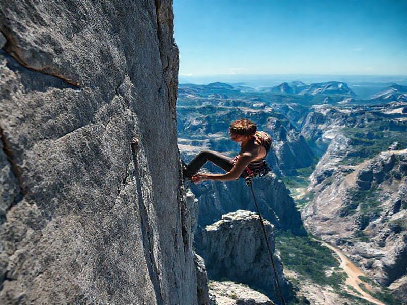 Trending: alex honnold