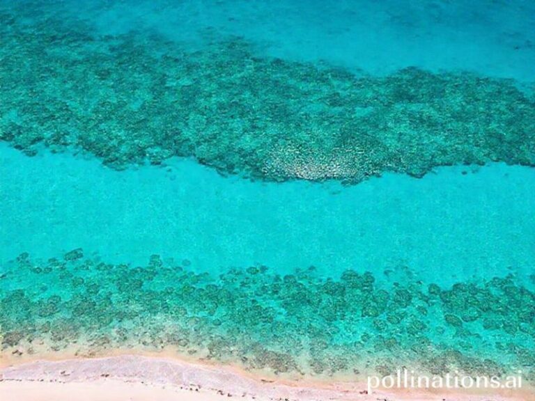 Trending: turks and caicos