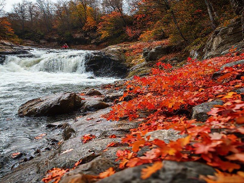 Trending: uw river falls
