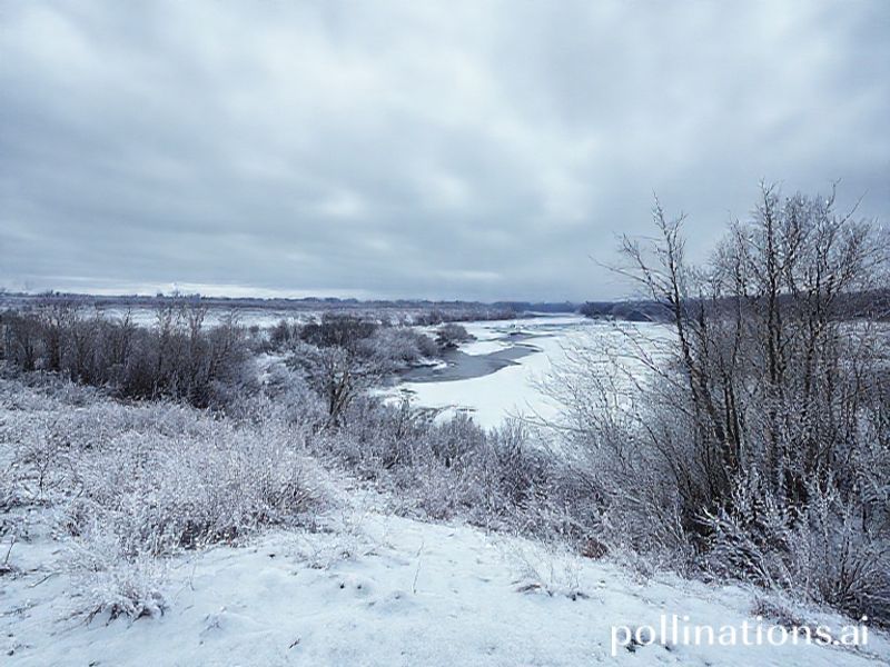 Trending: uk weather freezing arctic blast