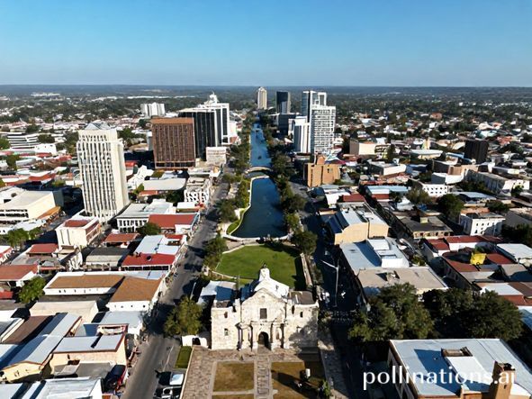 Trending: bexar county texas