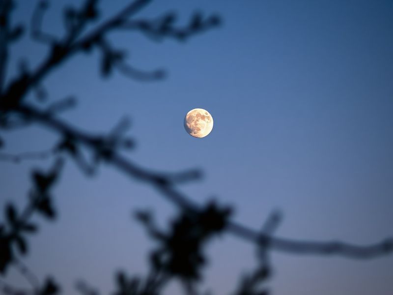 A twilight sky featuring a thin crescent Moon positioned closely above the brilliant planet Venus, with a faint glow of city