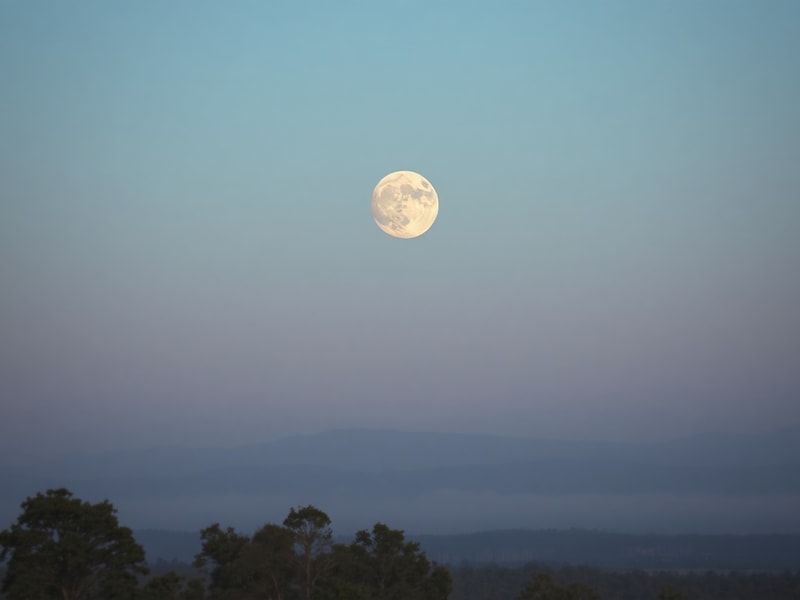 A high-resolution night sky photograph featuring the full Strawberry Moon low on the horizon, shining above a calm body of wa